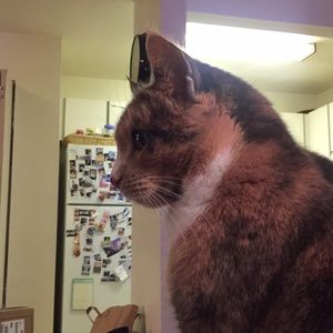 Meet your Posher, Catherine